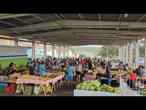 Feira livre de Brejinho PE em 27-02-26