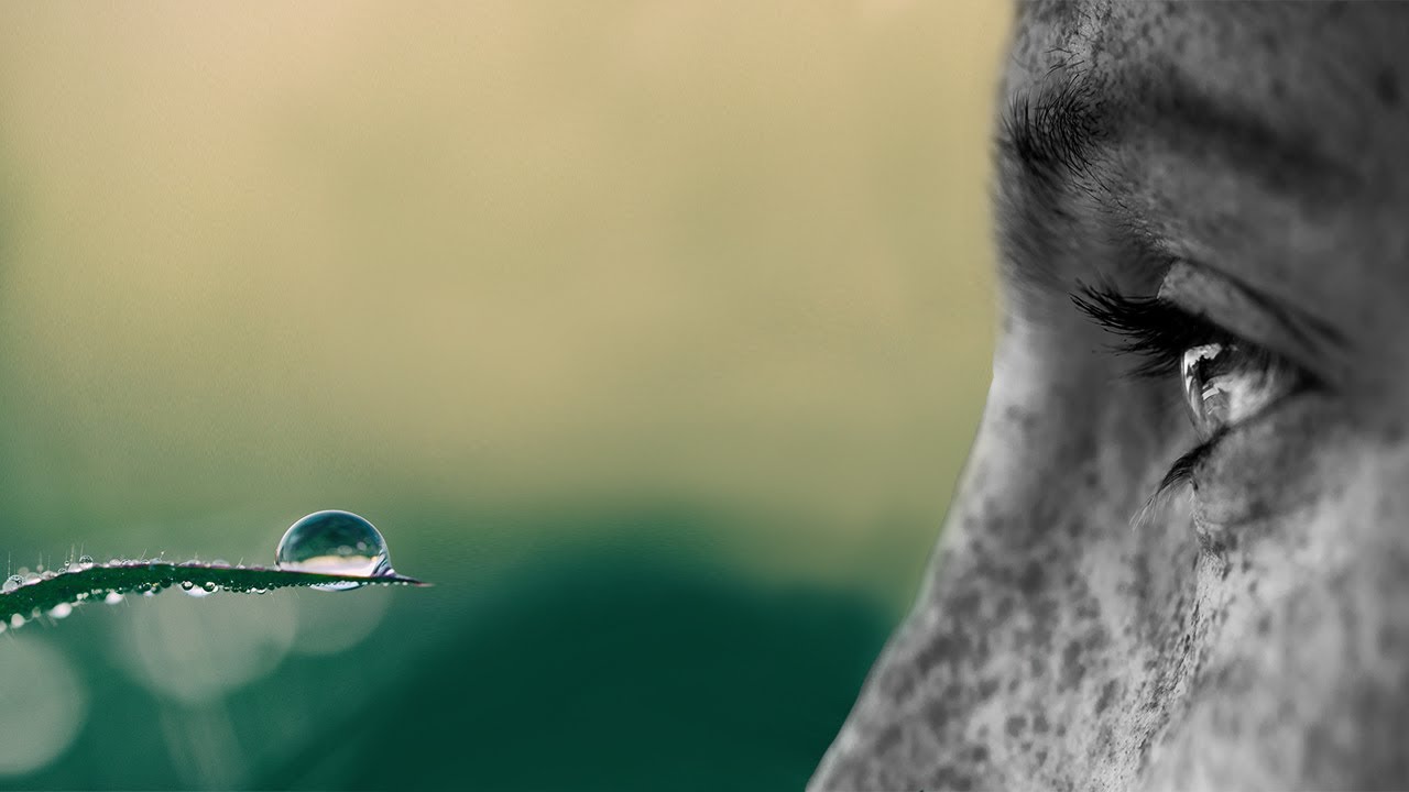 Qué significa Mindfulness de acuerdo al Buda
