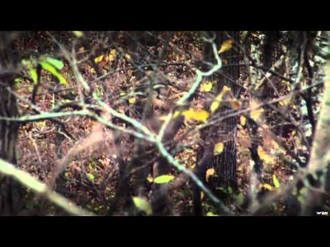 Headhunter's TV - Headhunting Wisconsin