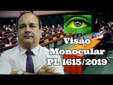 Visão Monocular e PL 1615/2019