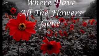 The Searchers: Where Have All The Flowers Gone