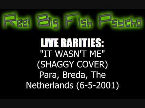 RBF Live Rarities - It Wasn't Me (Shaggy Cover)