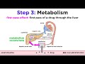 Pharmacokinetics How Drugs Move Through The Body