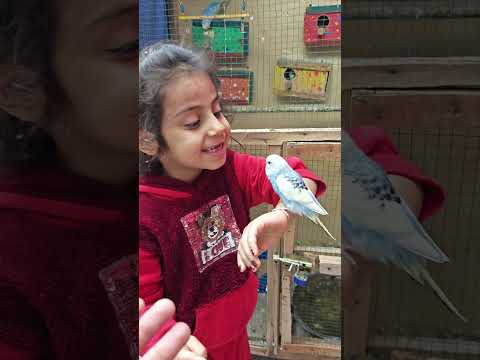 خبلات غدير 😂