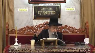 הרב בן ציון מוצפי  •  פרשת בא תשפ'ג (בית הכנסת מוסאיוף - ערוץ חדש) - התמונה מוצגת ישירות מתוך אתר האינטרנט יוטיוב. זכויות היוצרים בתמונה שייכות ליוצרה. קישור קרדיט למקור התוכן נמצא בתוך דף הסרטון