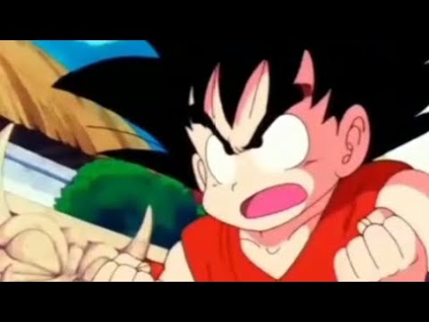 Vista previa del video del 22 Torneo de Artes Marciales