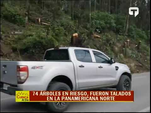 74 árboles en riesgo fueron talados en la Panamericana Norte