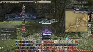 2Man.s カイとレオラグーン FF14日記