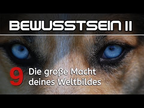 BEWUSSTSEIN II - Philosophisches Resümee von Eben Alexander