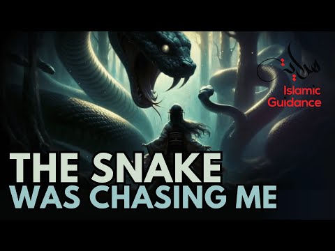 The Snake Was Chasing Me (True Dream)