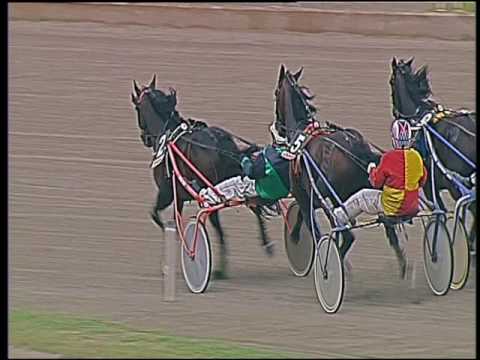 Trotto 18/09/2016 - 2ª corsa