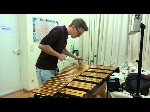 Gary Burton - Chega de Saudade || played by Leo Waltersdorfer
