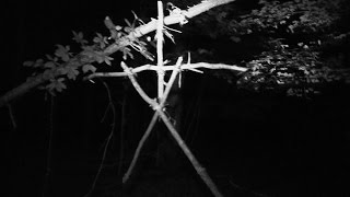 These Woods Ain't Normal.  A Witch and a Bigfoot?