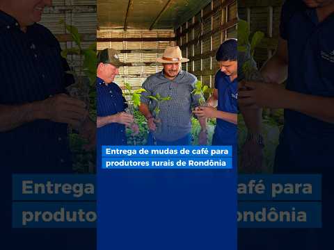 Fortalecendo a produção de café em Rondônia
