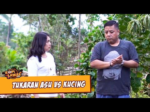 kopi-lawak-tukaran-asu-vs-kucing
