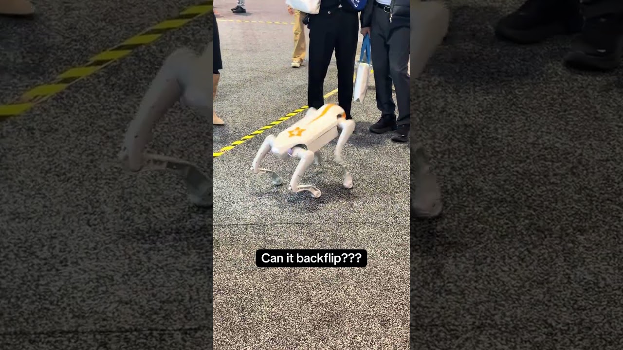 Robot dog CES 2026 #robot #robotics #ces2026 #backflip #ai