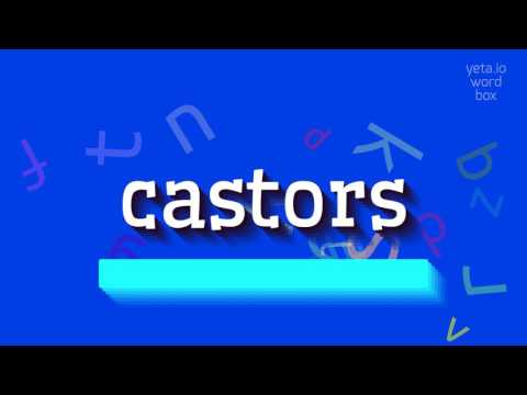 HOW TO PRONOUNCE CASTORS? #castors