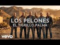 El Tigrillo Palma - Los Pelones (Visualizer)
