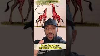 Natural Selection Explained!