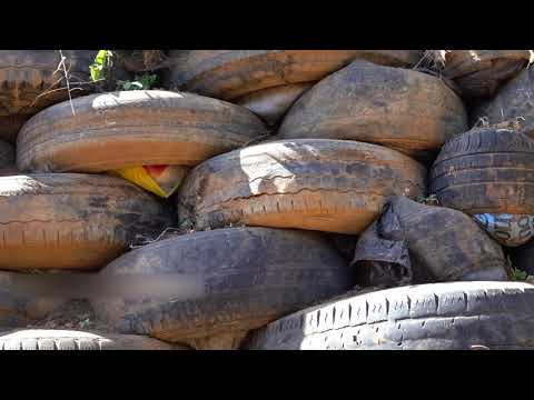 Help School fight Climate Change w/ Green Building