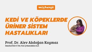 Kedi ve Köpeklerde Üriner Sistem Hastalıkları ''Prof. Dr. Alev Akdoğan