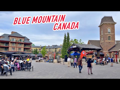 Why you should visit Blue Mountain in Canada in summer | 4K Virtual Walking Tour