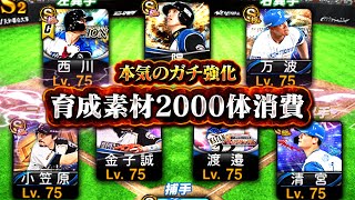 ZEE史上最大の強化を敢行！その数なんと2000体消費…日ハム純正 巨人純正 ガチオーダー全てがハイレベルになったぜ【プロスピA】【リアルタイム対戦】