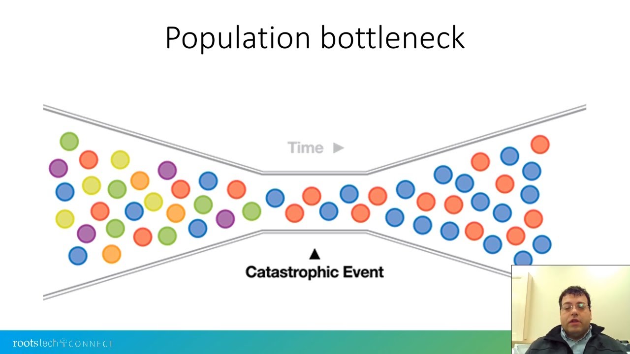Discovering Native American Origins and Ancestry through DNA
