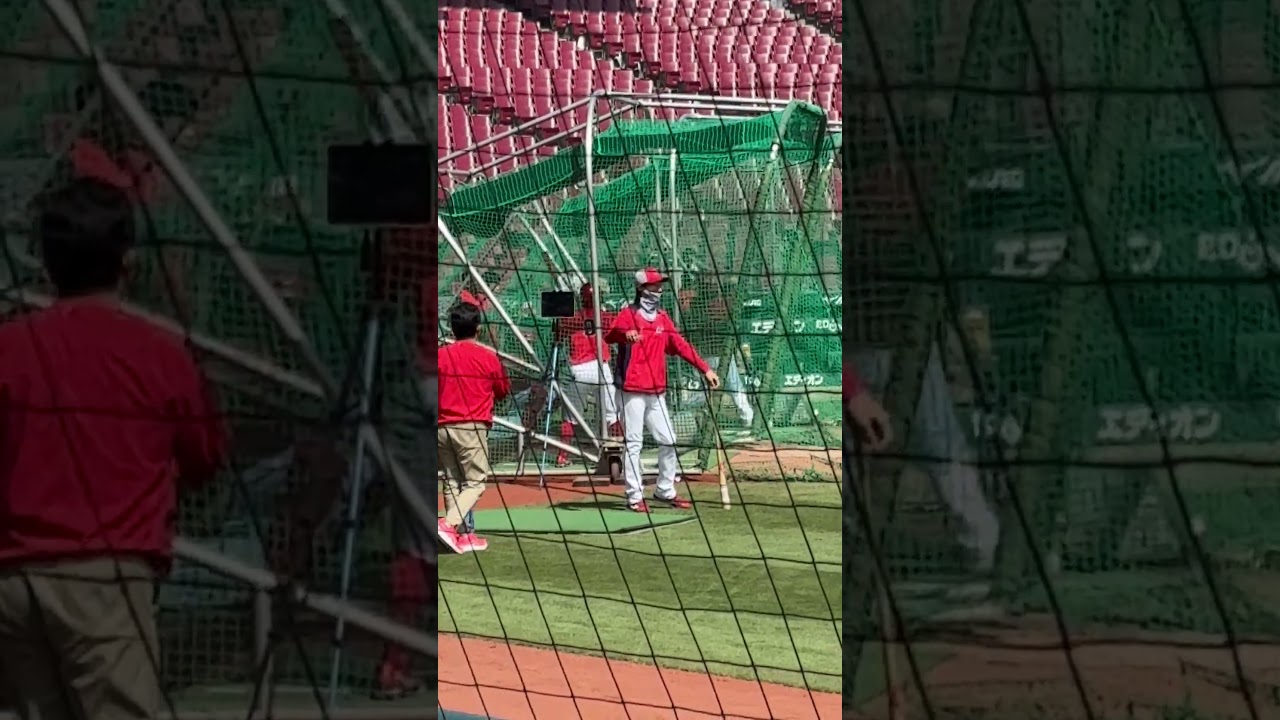 【現地取材】勝田成！！フリーバッティング【球団認定】カープ全力応援チャンネル