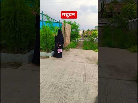 मधुबन ✨#viral 🌹#shortvideo ❤#youtubevlogs 🥀#trending #short #shorts