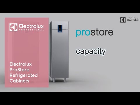 Electrolux Professional 2x1/2-DOOR FREEZER CABINET A304 R290