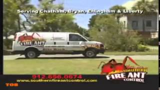 EL Saturn #103 Ant Commercials | TØS