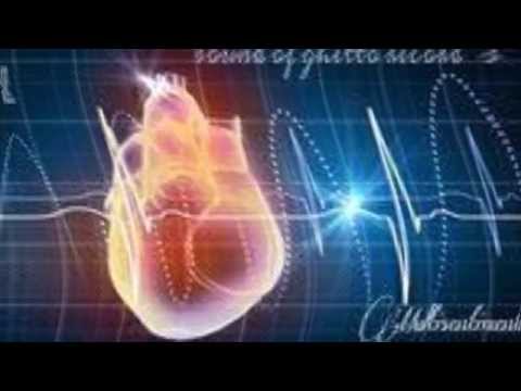 close to me 2 31 ft bore