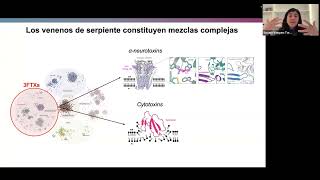 [Susana Vázquez-Torres] Diseño de proteínas artificiales que neutralizan veneno de serpiente