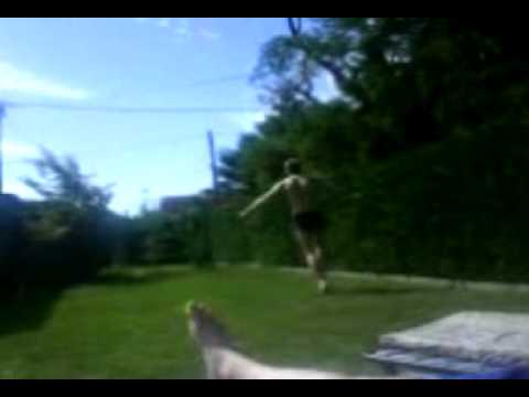 Bernd die Schwanenprinzessin