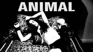 Animal - by Kim Boekbinder