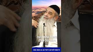 הרב רפאל זר | עצלן בעבודת השם - למה? (הרב רפאל זר) - התמונה מוצגת ישירות מתוך אתר האינטרנט יוטיוב. זכויות היוצרים בתמונה שייכות ליוצרה. קישור קרדיט למקור התוכן נמצא בתוך דף הסרטון