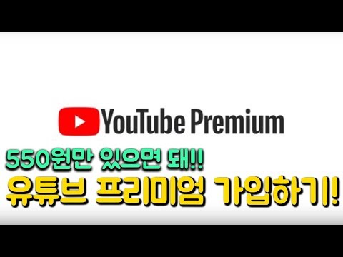 성공)단돈 2,119원(139INR)으로 유튜브 프리미엄 이용하기!!(Youtube Premium)