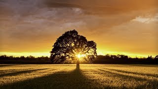 Klaus Schulze - Vie De Rêve (Concert 1976)