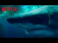Sophia Confronts A Shark Under Paris Netflix