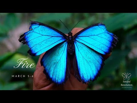 Is the apology enough, FIRE Sign March 5-6 Aries Leo Sagittarius