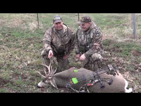 A family bowhunt for mule deer bucks!- from the 2022 season