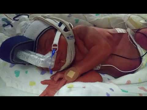 29 week old baby bella