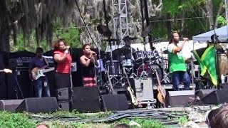 Ziggy Marley - Give It Away (Wanee 2014)