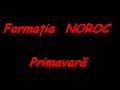Noroc - Primavara 