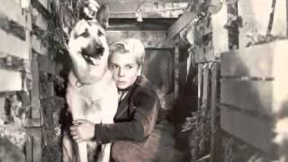 kelly willis  "heaven bound"