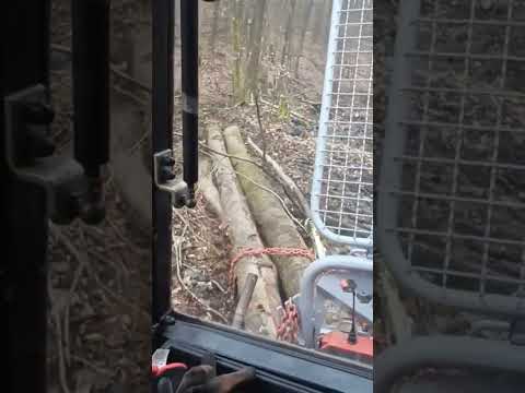 Holz Rücken mit Case IH 640 und Tajfun 4,5AHK egv Funkseilwinde, Forstarbeit