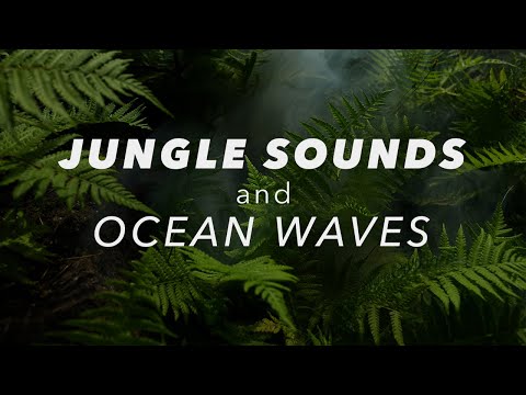 Sleep Music with Ocean Waves and Jungle Sounds to Fall Asleep Fast