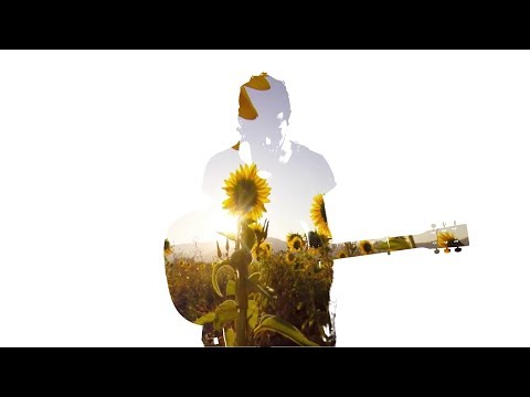 Mil Girassóis video