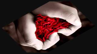 Boyce Avenue feat. Megan Nicole - Skyscraper